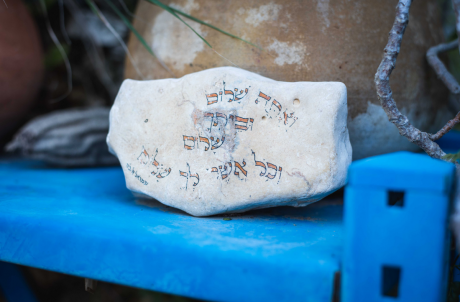 בוקר מפגש בבית יער
