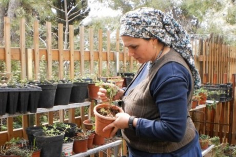 תפקידו של בית הוא לייצר שפע  / מעיין כפיר